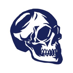 Elements Skulls logo template 139 Thumbnail