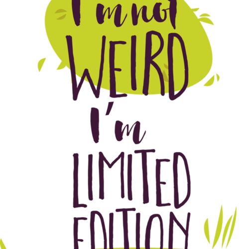 Design 1279 Thumbnail