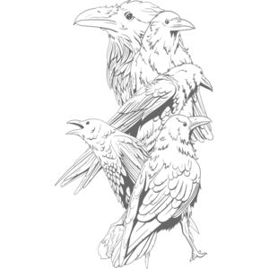 Design 434 Thumbnail