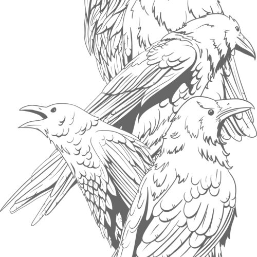 Design 434 Thumbnail