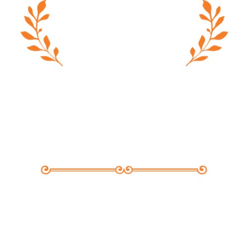 Design 1738 Thumbnail