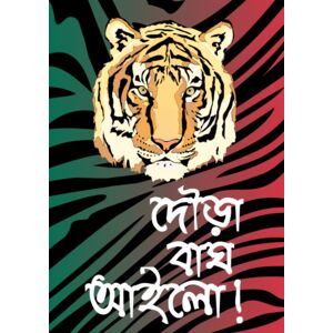 BD Design2 Thumbnail